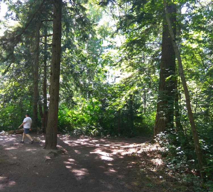 McCollum Park Forest Loop Trail (Everett,&nbspWA)